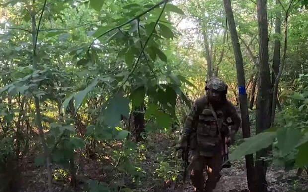 Украинский военнослужащий: Сегодня ВСУ оставили Новогродовку