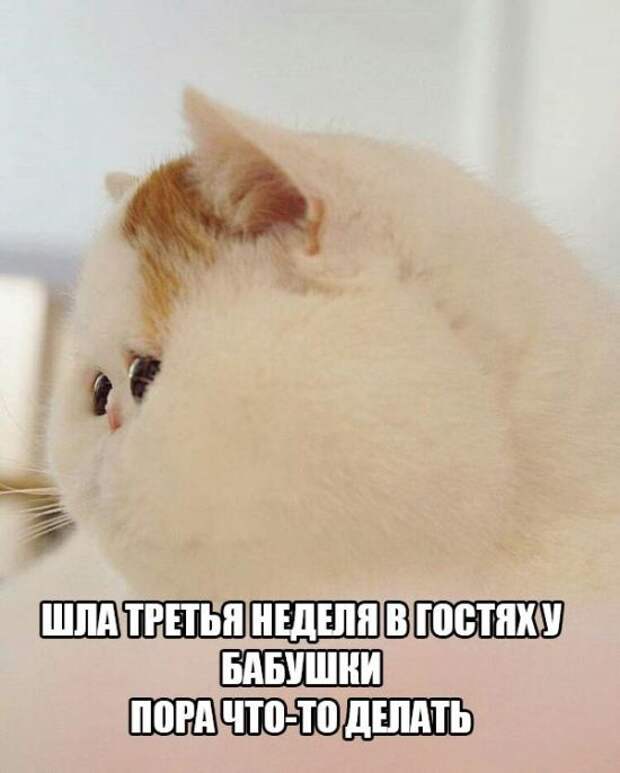 1475654500_101
