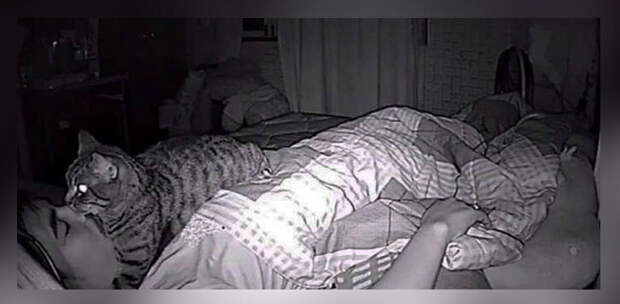 У мужчины начались проблемы со сном, и он решил поставить камеру на ночь