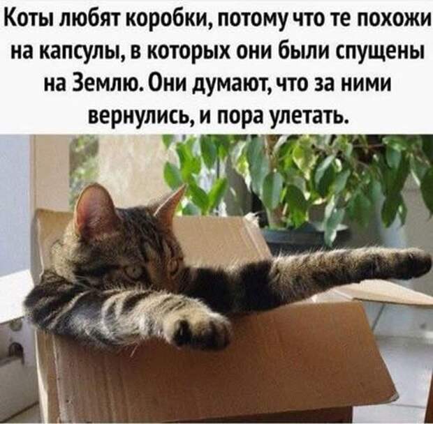 Мастерство женщины заключается в том, чтобы умело выдать свой гарпун за стрелу Амура