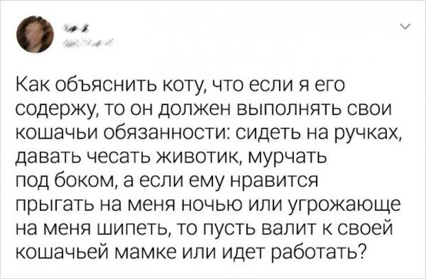 www.vsyako.net