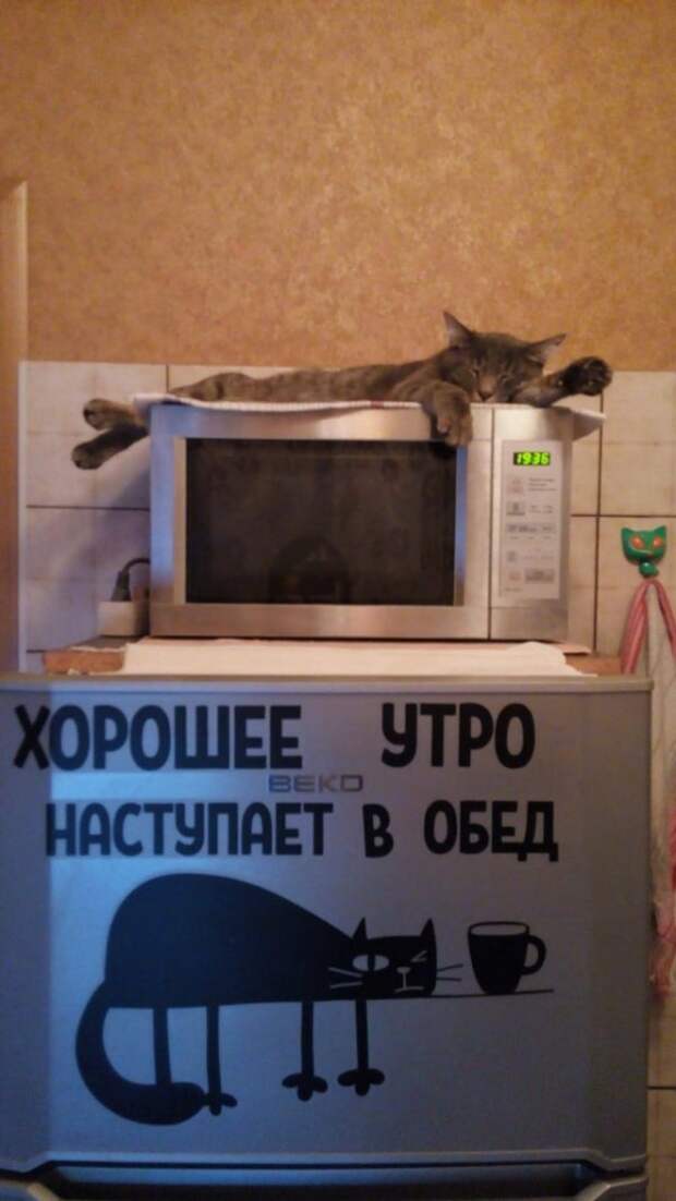 Всяческие картинки