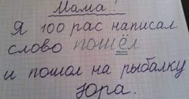Несколько сочинений и работ школьников