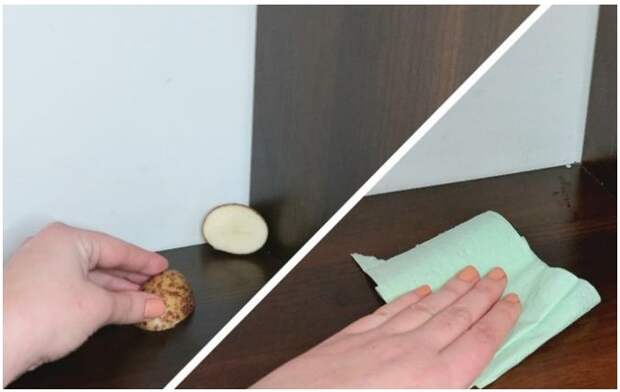 Картофель нужно разрезать напополам. / Изображение: дзен-канал technotion