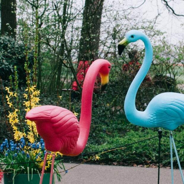 Парк цветов Keukenhof, апрель 2018 путешествия, факты, фото
