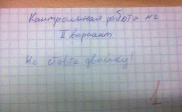Несколько сочинений и работ школьников