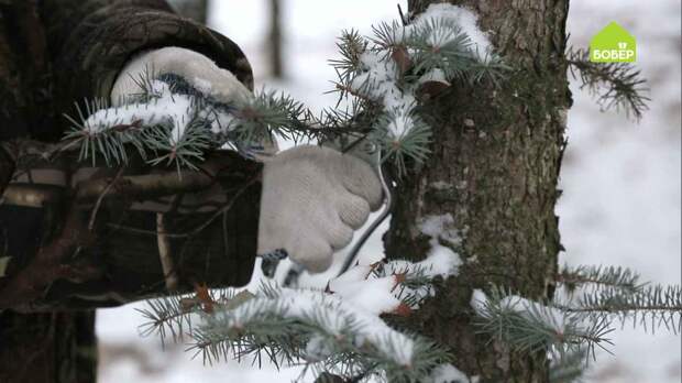Как сделать новогодний венок из еловых веток