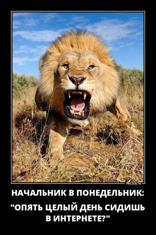 Демотиваторы