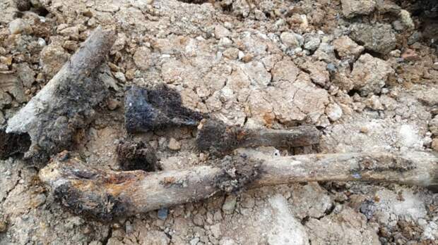 Продолжается эксгумация найденных останков в Приморье