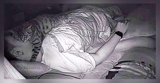 У мужчины начались проблемы со сном, и он решил поставить камеру на ночь