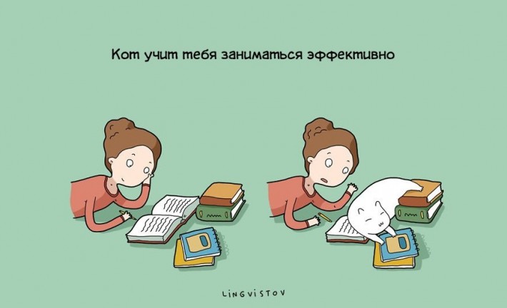 Преимущества жизни с котом