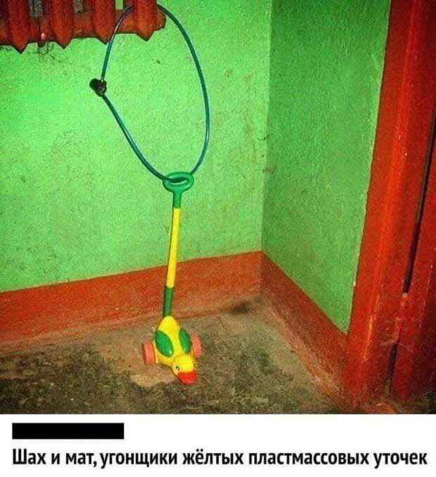 @psychology_funny  #юмор #смешное #приколы