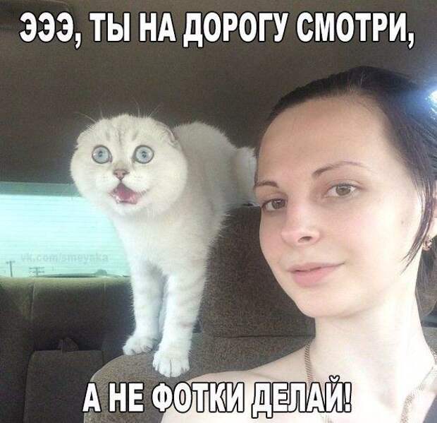Картинки с надписями  мем, прикол, юмор