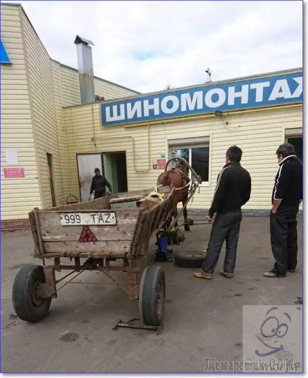 Анекдоты для отдыха