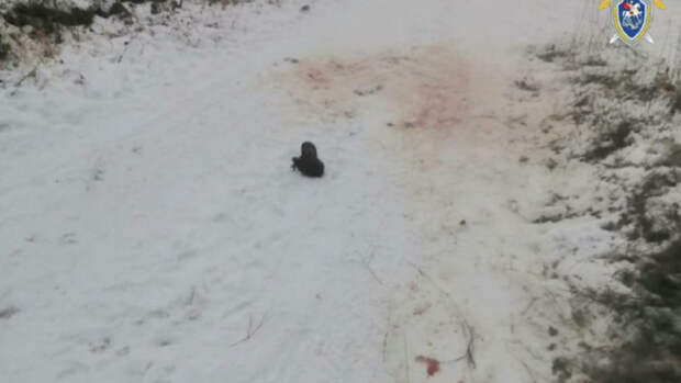 Фото: СУ СКР по Иркутской области