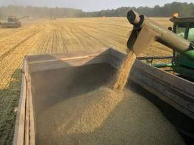 Актуальность зерновых интервенций снизилась из-за субсидирования перевозок