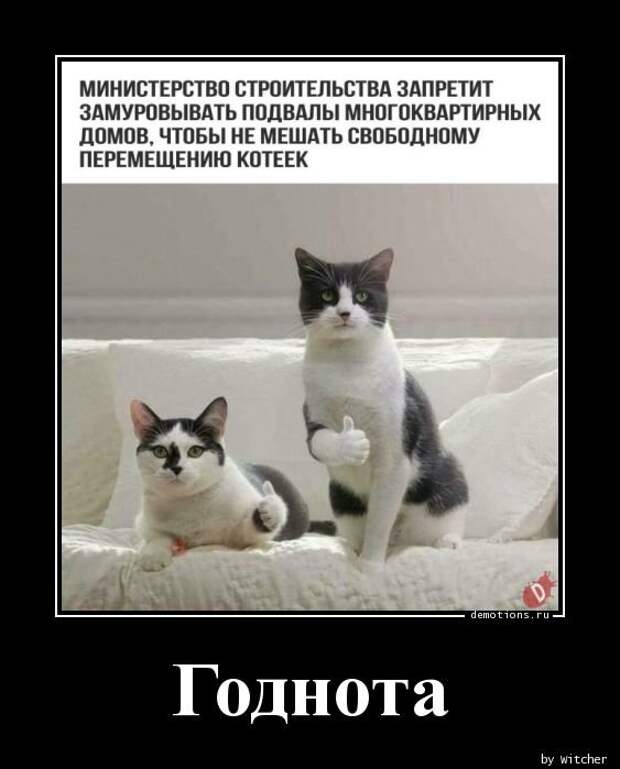 Годнота демотиватор, демотиваторы, жизненно, картинки, подборка, прикол, смех, юмор