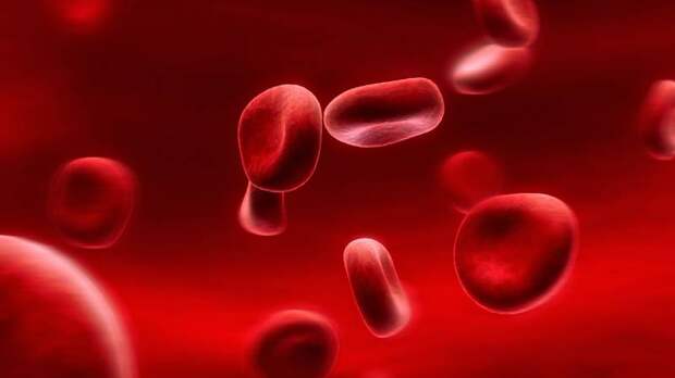 Как группа крови может определять характер, здоровье и даже судьбу