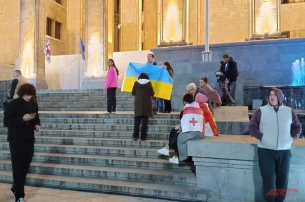 Журналист Боуз: в протестах в Тбилиси участвовали итальянские радикалы