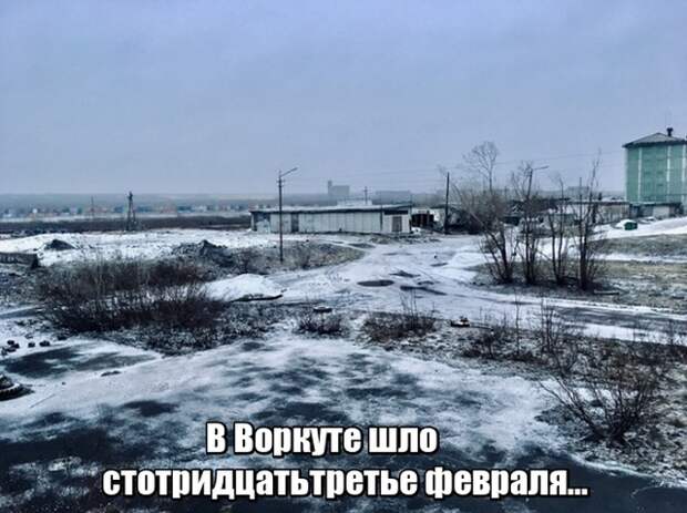 www.vsyako.net