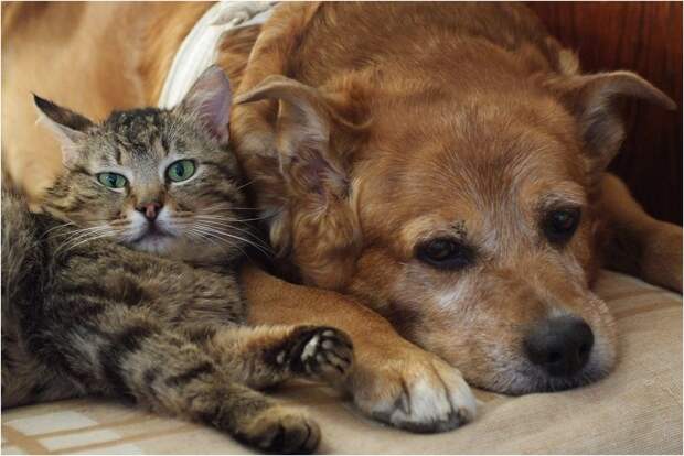 Старая машина