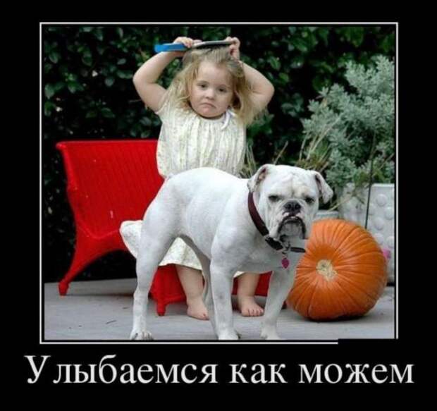Демотиваторы. Подборка chert-poberi-chert-poberi-06230805052020-2 картинка chert-poberi-06230805052020-2