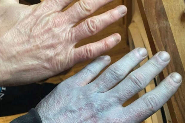 Amur Mash: во Владивостоке вблизи школы нашли человеческую руку