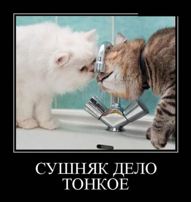 Демотиваторы. Подборка chert-poberi-chert-poberi-06230805052020-8 картинка chert-poberi-06230805052020-8