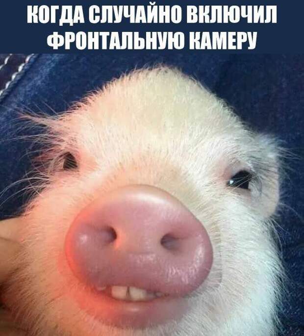 1478456842_97