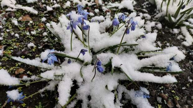 Когда на Алтае закончатся апрельские снегопады и потеплеет до +18 градусов