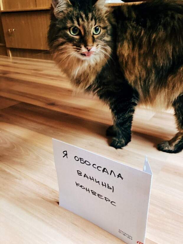 14. «Вот вам, людишки!»