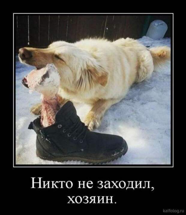 Демотиваторы. Подборка chert-poberi-chert-poberi-06230805052020-3 картинка chert-poberi-06230805052020-3