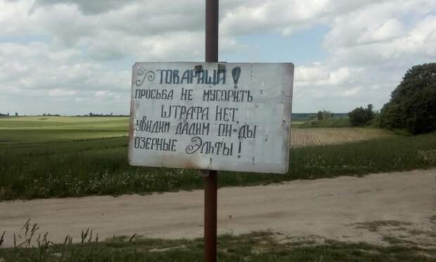 Подборка картинок. Вечерний выпуск (27 фото)