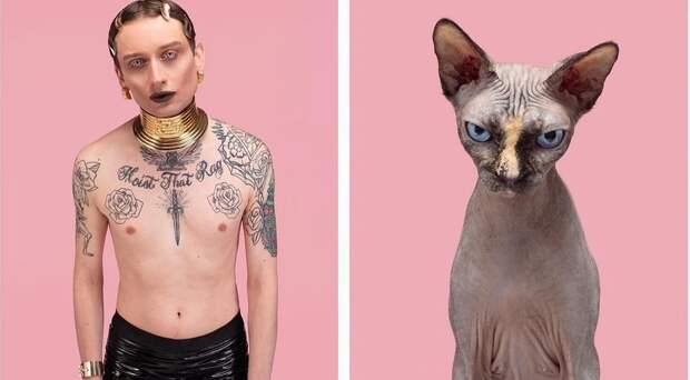 Фотография: Почти не отличить: фотограф показал, как похожи коты со своими хозяевами №3 - BigPicture.ru