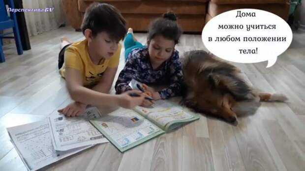 Фото: ГБОУ "Школа Перспектива"