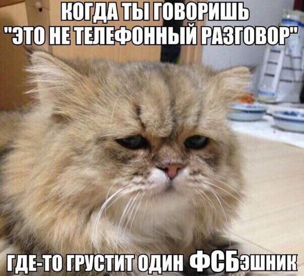 SGKxtC6rlDM