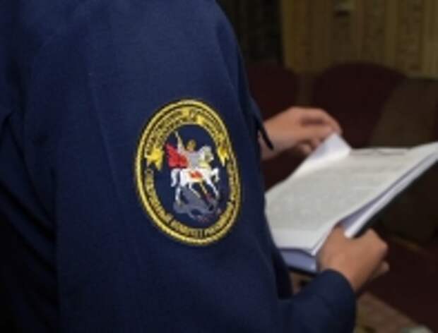 Глава ведомства затребовал доклад о проверочных мероприятиях по факту противоправных действий подростков в Челябинске