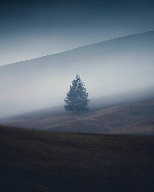 10 фоторабот, которые изменят ваш взгляд на окружающий мир
