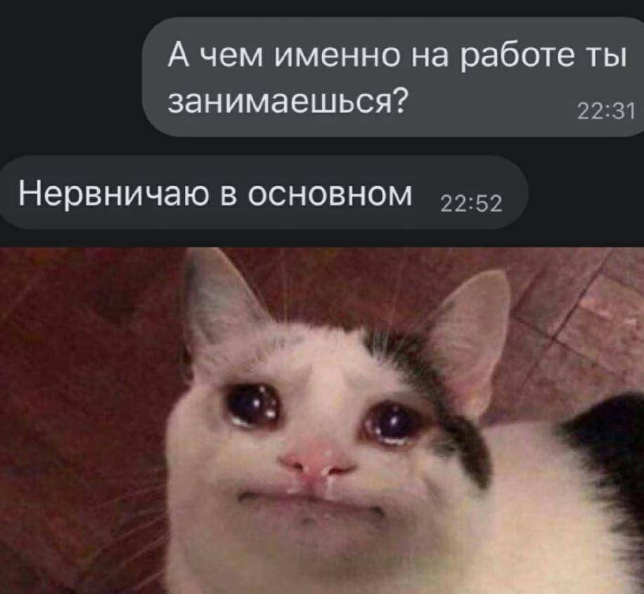 Смешные картинки с надписями