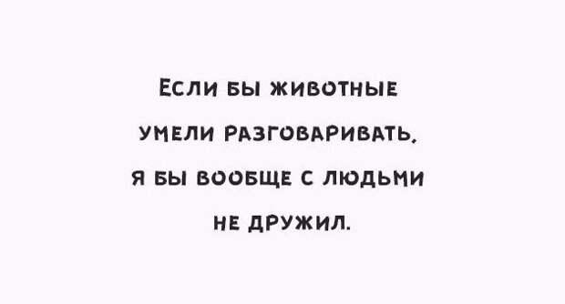 Позитивные картинки с надписями для хорошего настроения (11 фото) Позитивные картинки с надписями для хорошего настроения (11 фото)
