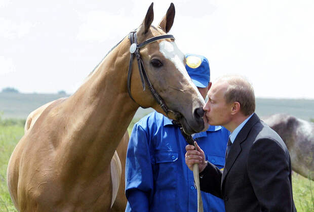 Фото кони путина