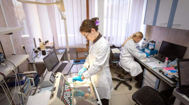 Ученые из Крыма стали победителями региональных грантовых конкурсов Российского научного фонда