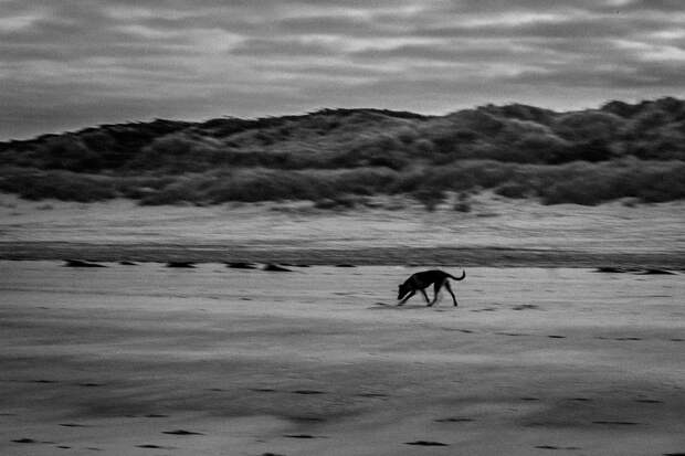 at the beach by Koen Jacobs on 500px.com