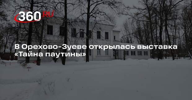 В Орехово-Зуеве открылась выставка «Тайна паутины»