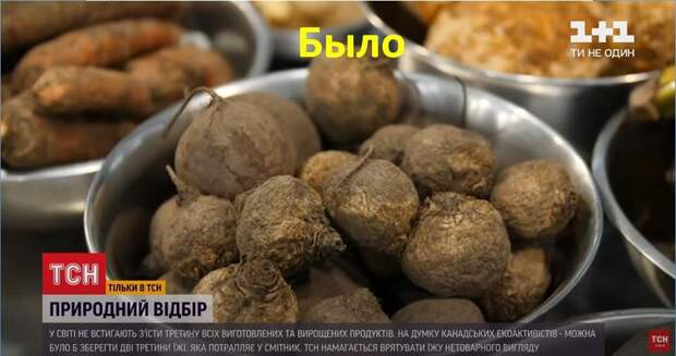 Лайфхак от ТСН украинцам: как сэкономить на еде