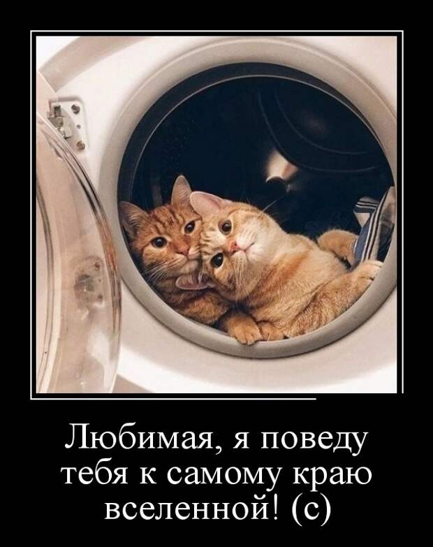 Самые новые демотиваторы (30 фото)
