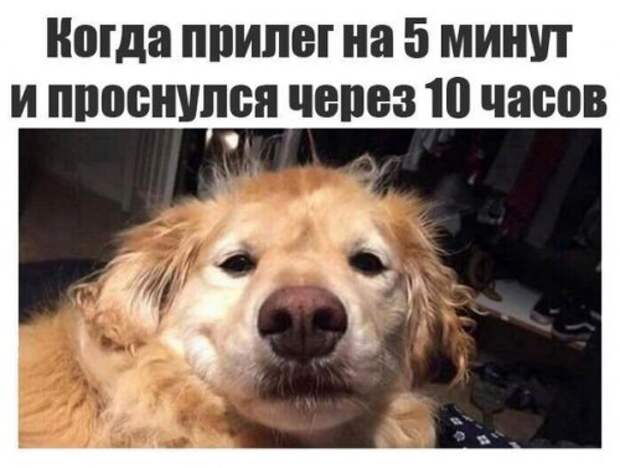 Смешные анекдоты в середине недели (14 шт)