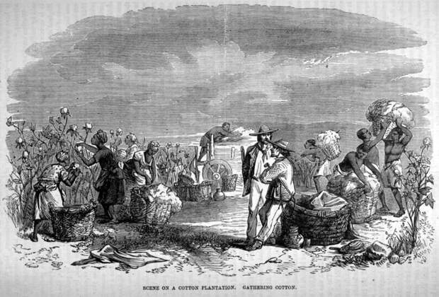 Рабы занимаются вылущиванием зерен из кукурузных початков (Юг США, 1861 год)