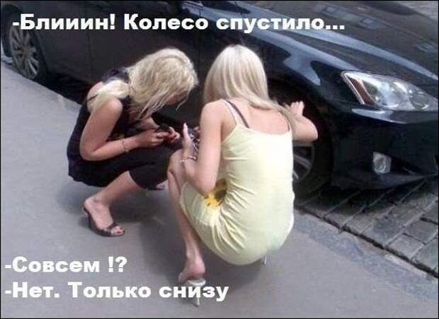 Фотоподборка