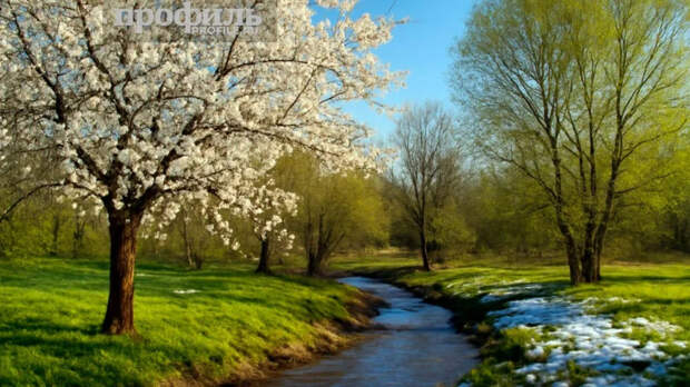 Народные приметы 25 апреля: что можно и нельзя делать в этот день